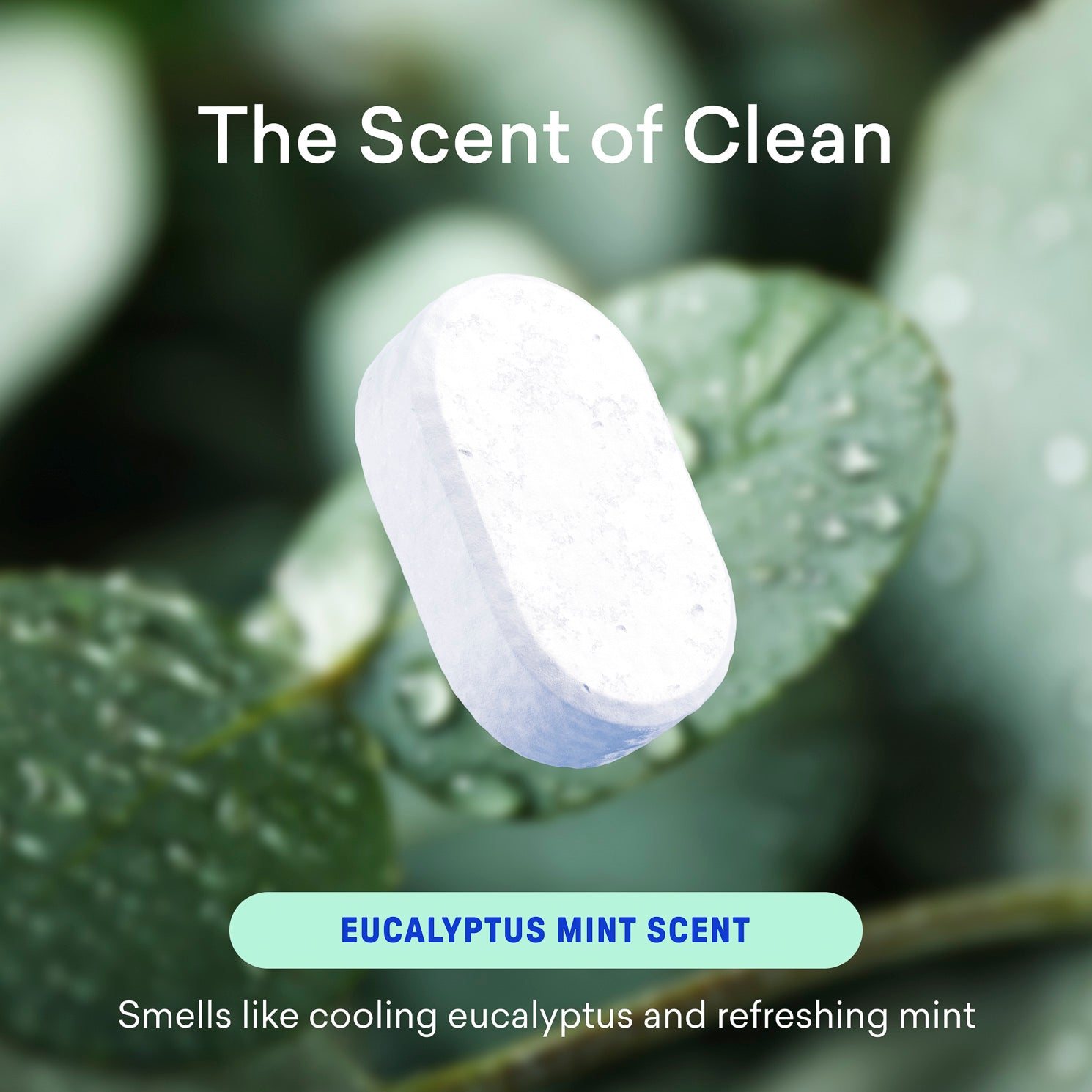 Bathroom Cleaner Starter Set