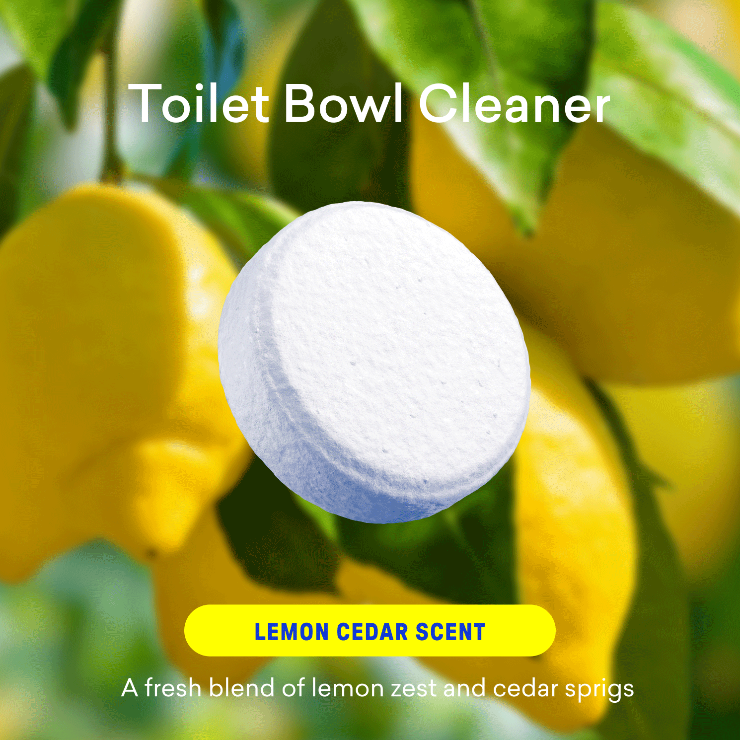 Laundry Detergent & Toilet Bowl Cleaner Kit