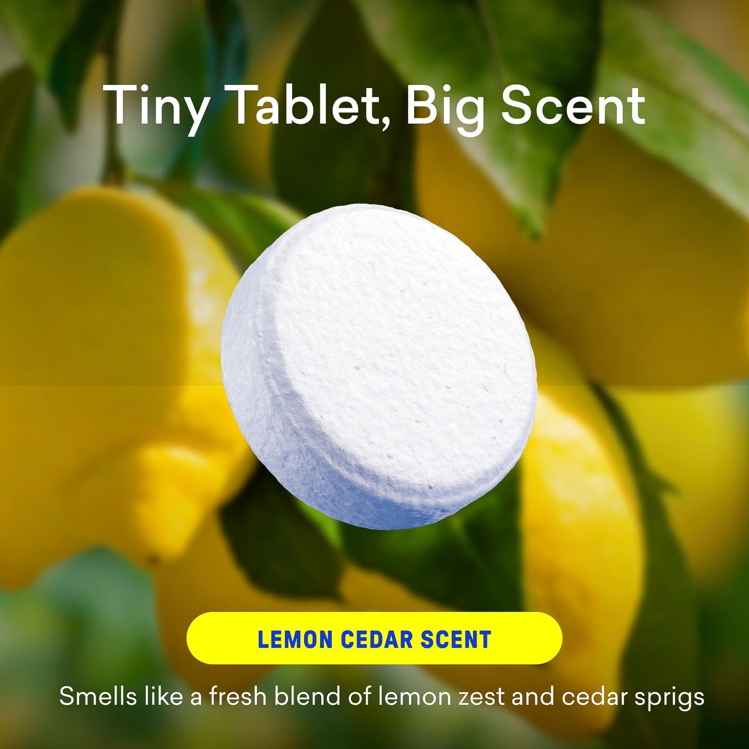 Toilet Bowl Cleaner Tablet Refills