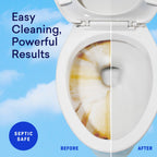 1 Year of Toilet Bowl Cleaner