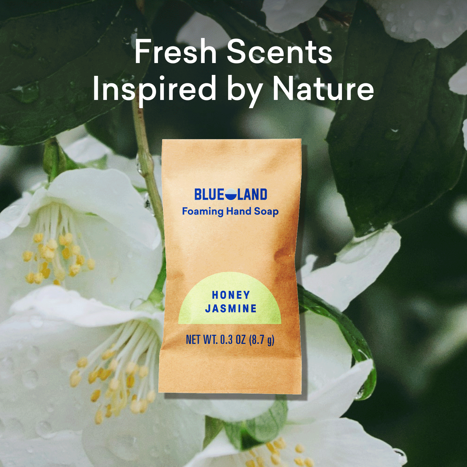 Hand Soap Starter 2-Pack